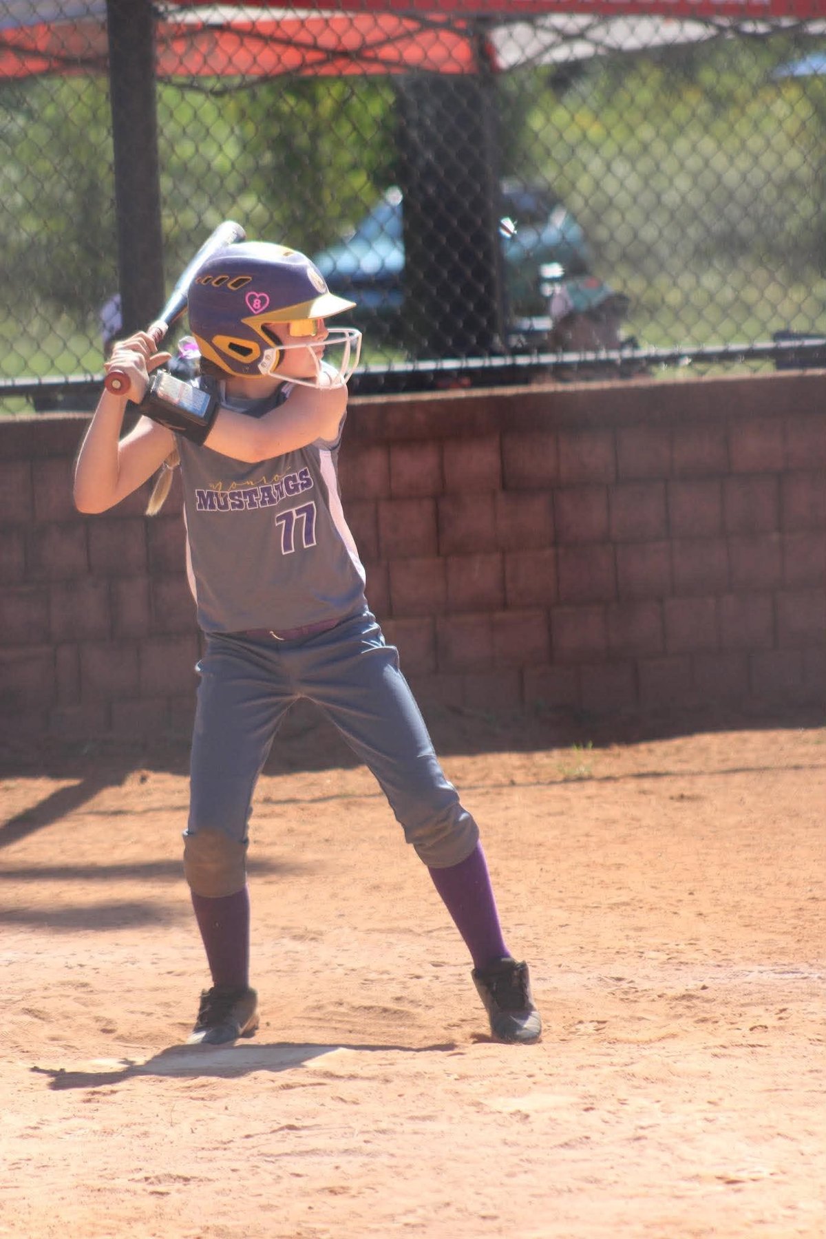 Monroe Mustangs first 12U tournament photo 3